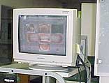 d7.jpg