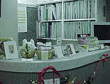 front.gif